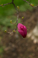 Jean's Garden