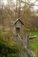 Jean's Garden
