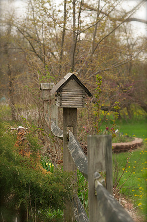 Jean's Garden